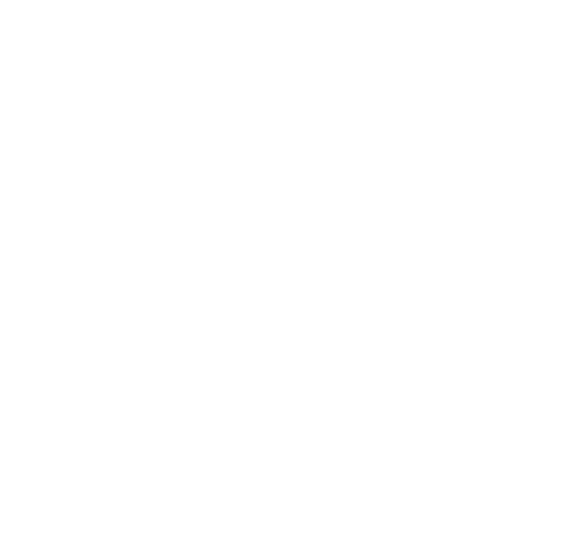 Handicap